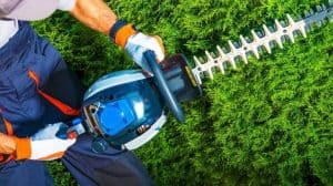 best hedge trimmer featured image