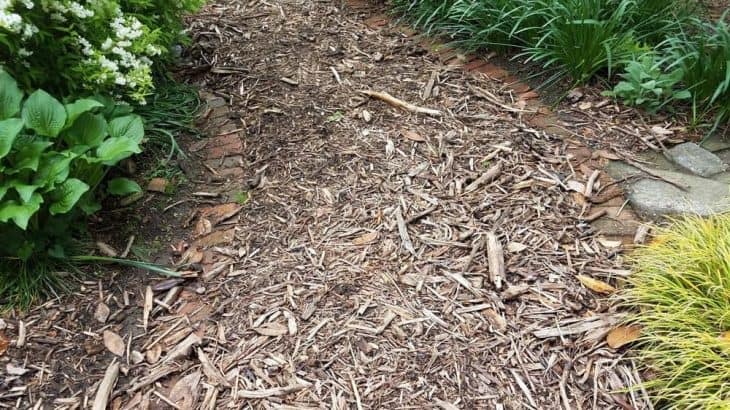What to Do With Wood Chips from Chipper 