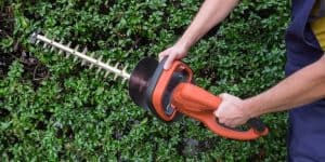 best hedge trimmer for small garden