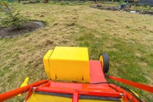 Benefits of Dethatching Your Lawn - ProGardenTips