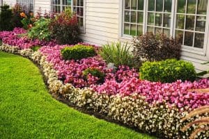 benefits of edging a lawn