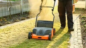 when to dethatch and aerate your lawn