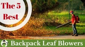 Best backpack leaf blower featured