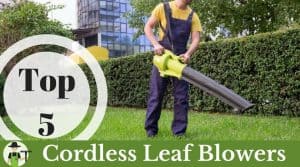 best cordless battery powered leaf blower featured image