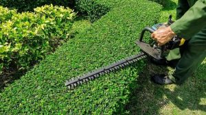 how to sharpen hedge trimmer blades