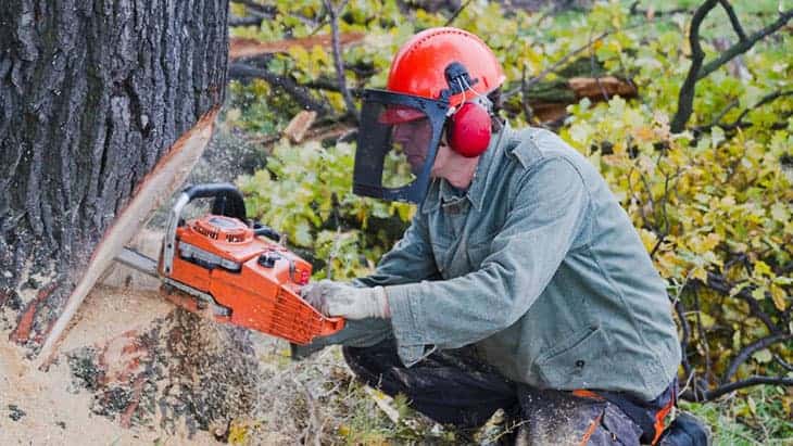 chainsaw helmet reviews featured
