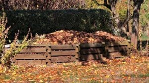 how to compost fallen leaves