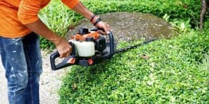 what can hedge trimmers be used for
