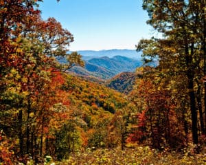 autumn great smoky mountains national park tennessee