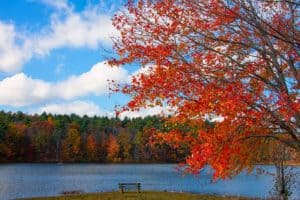 new england foliage lake fall