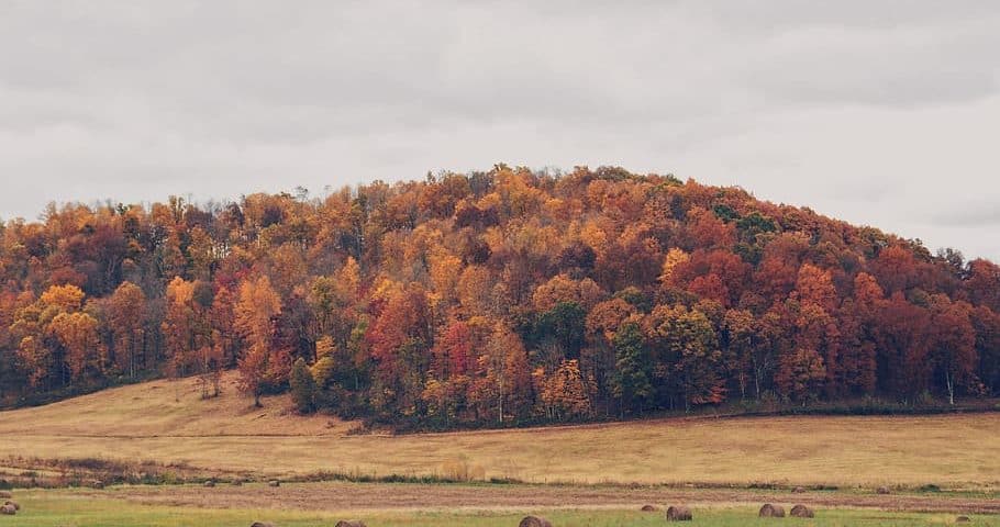 Autumn colors in Kingston Ohio