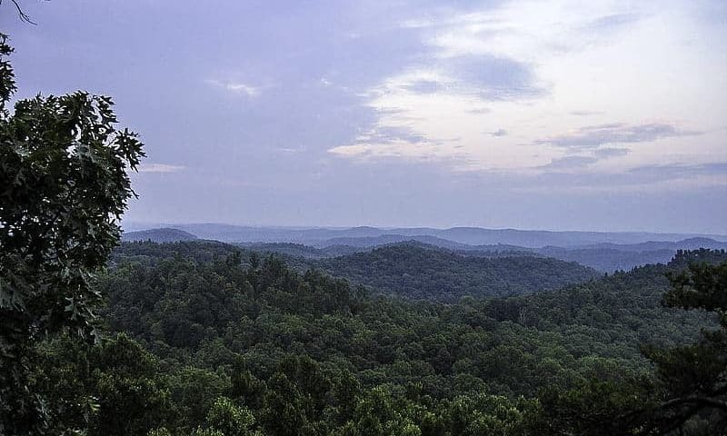Landscape and forest in Daniel Boone National Forest in Kentucky