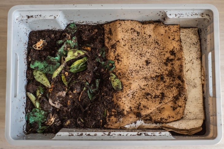 DIY worm farm composting bin in an apartment 2