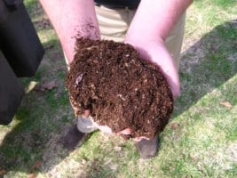 compost in hands on lawn