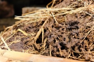 farmyard compost manure