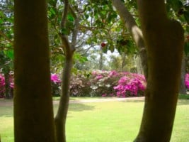 Trees bordering a wonderful view of the Bellingrath gardens Alabama
