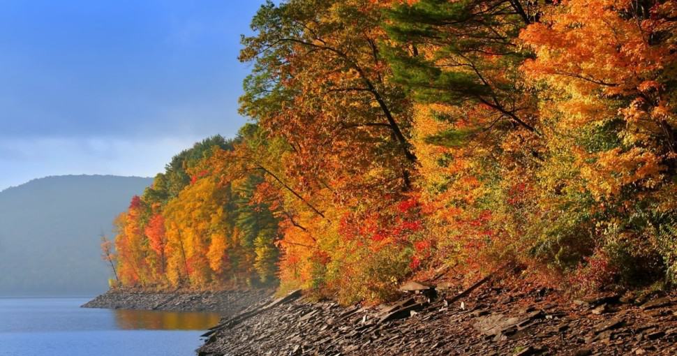 Scenic autumn landscape in Allegheny national forest of Pennsylvania