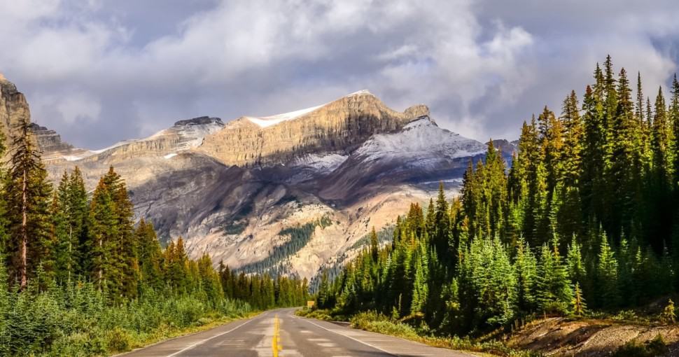 Scenic view of the road and pine trees on Icefields parkway Canadian Rockies Canada