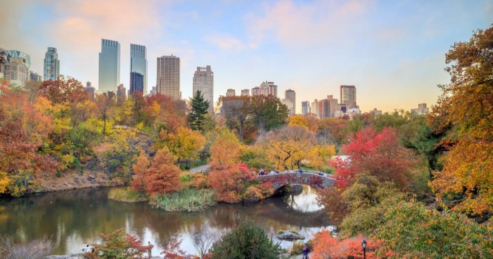 Central Park in Autumn with colorful trees and skyscrapers