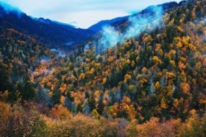 Colorful trees in the Smoky Mountains in Tennessee