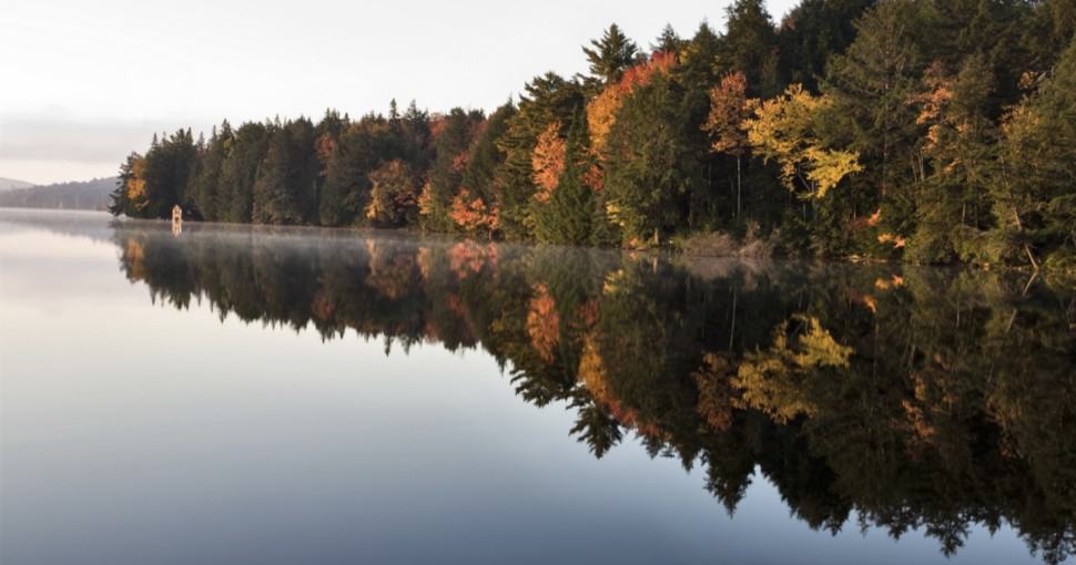 Autumn colors in Algonquin Lake Muskoka Ontario