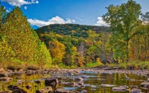 Greenbrier River Foliage West Virginia