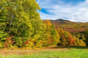 Stunning colors of Vermont foliage New England