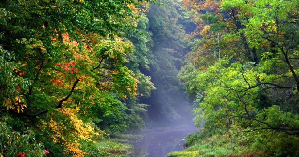 beautiful trees in Scenic autumn landscape in Ashtabula county in Ohio state