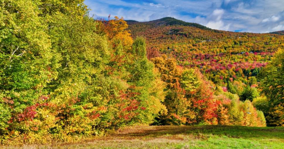 Beautiful forest of New England in foliage season USA