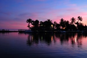 Florida Keys Sunset with Ocean Front and Palm Trees Islamorada USA