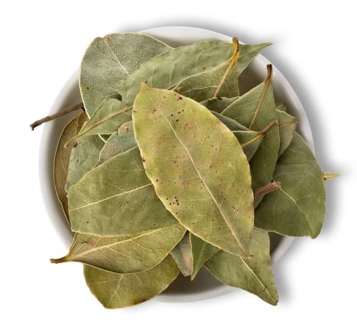 Bay leaves on plate