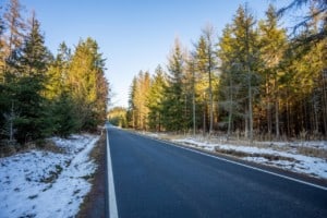 Evergreen trees along road in Wisconsin