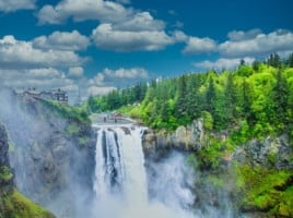 Evergreen trees at Snoqualmie Falls in Washington State