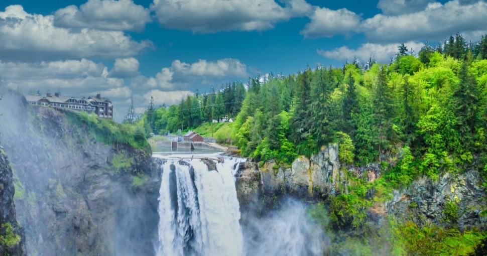 Evergreen trees at Snoqualmie Falls in Washington State