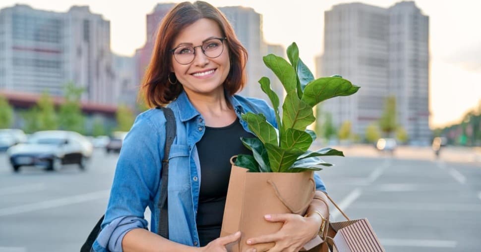 She just bought a Fiddle Leaf Fig Plant