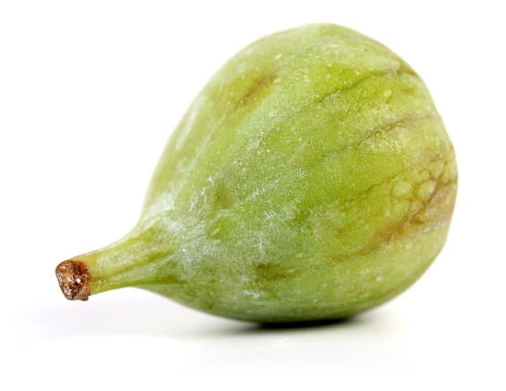 Unripe green fig
