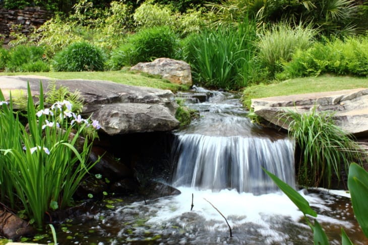Aldridge Botanical Gardens