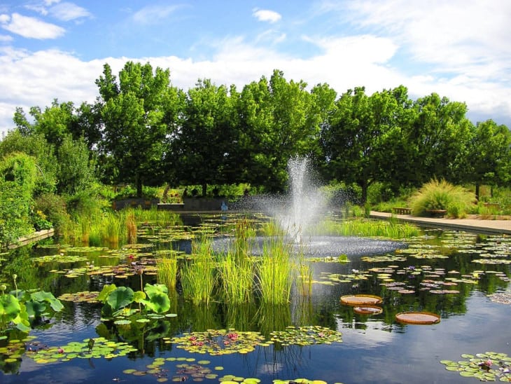 Denver Colorado Botanic Garden