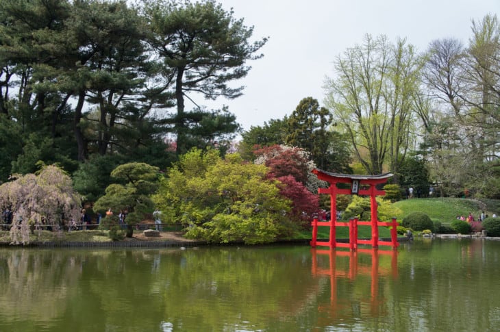 Japanese Hill and Pond Garden