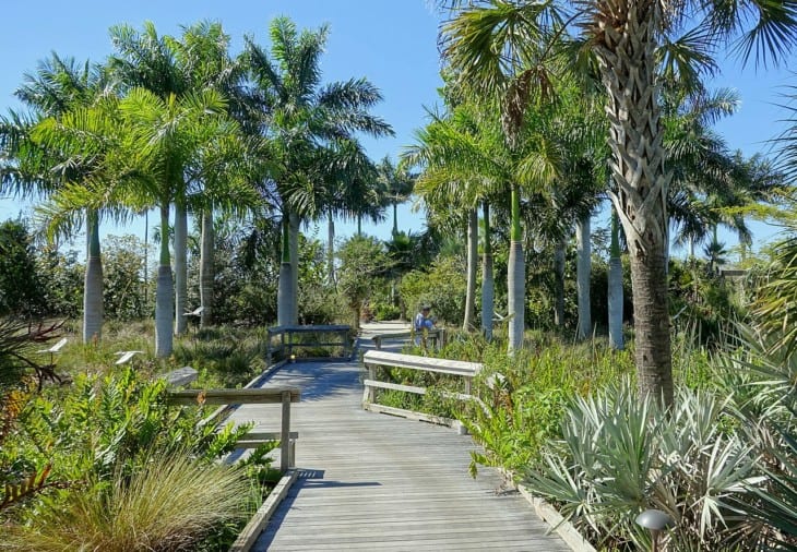 Naples Botanical Garden
