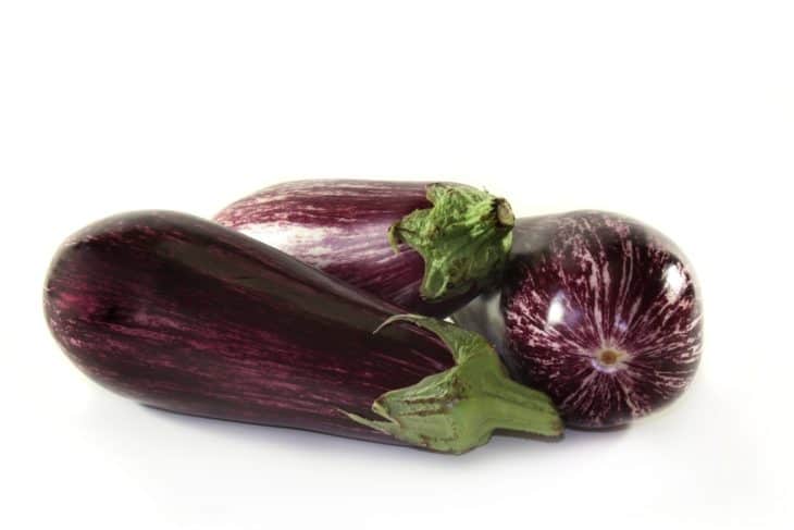 1611034 eggplant