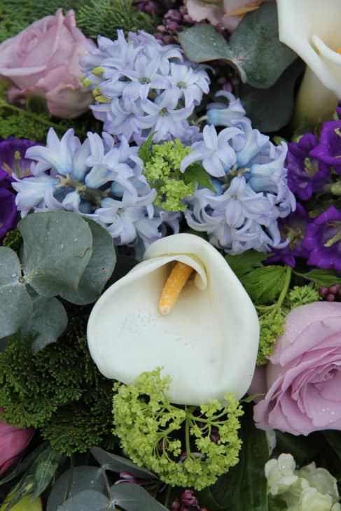 4021779 calla lily in a blue purple arrangement