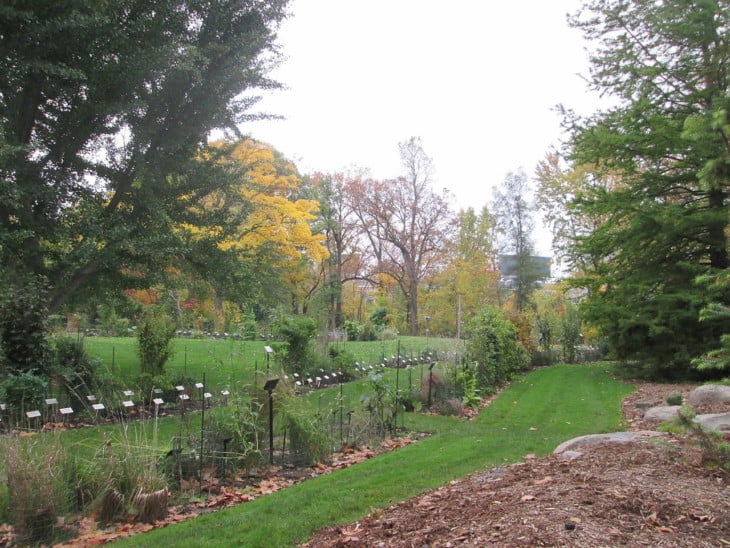 Botanical Garden Michigan State University campus