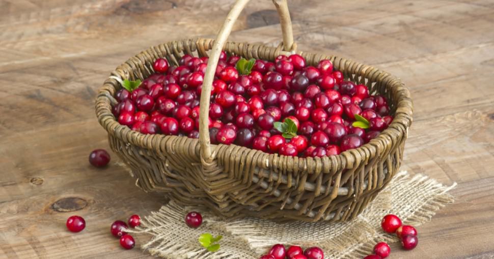 Cranberries in a basket