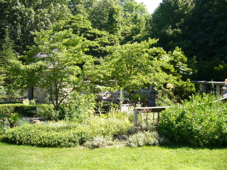 Fernwood Botanical Garden
