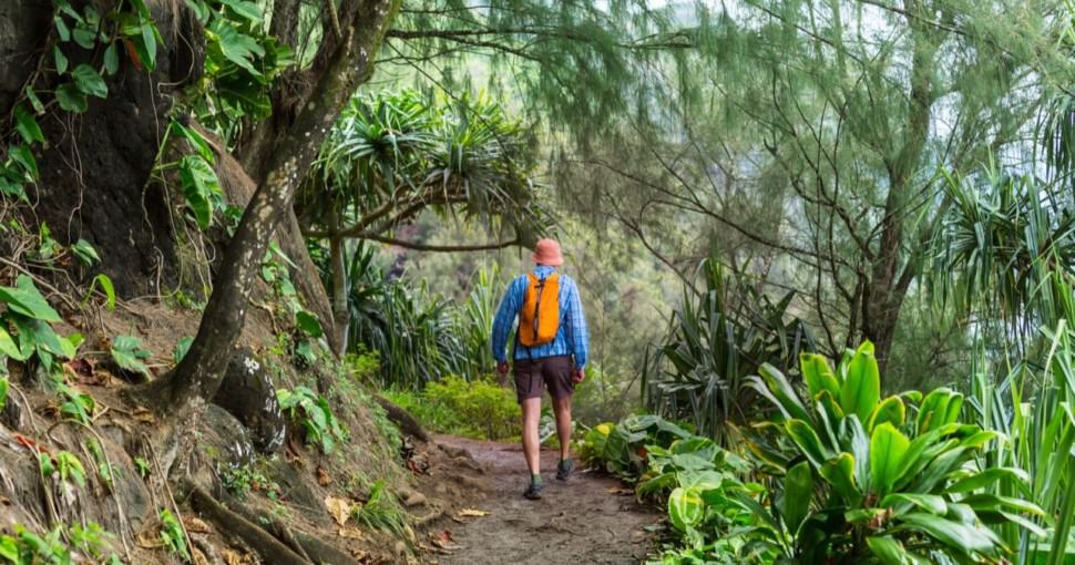 Hiker on the trail in green jungle Hawaii USA