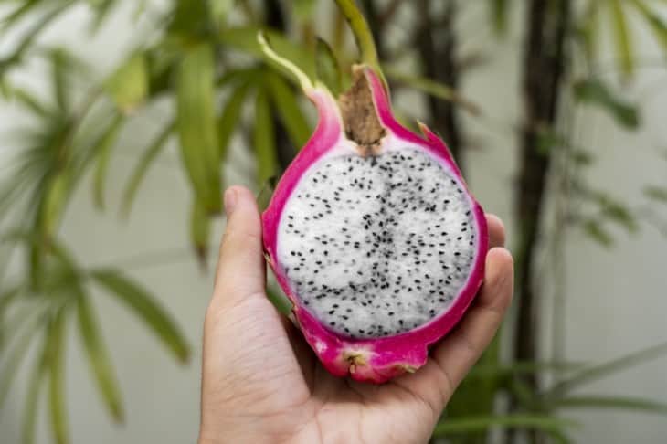 Male hand holding a dragon fruit