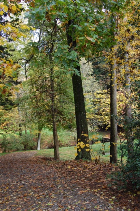Secrest Arboretum
