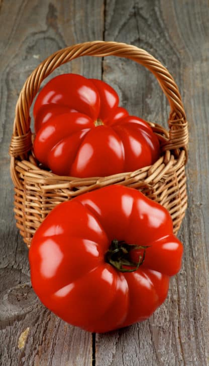18127572 heirloom tomato 1