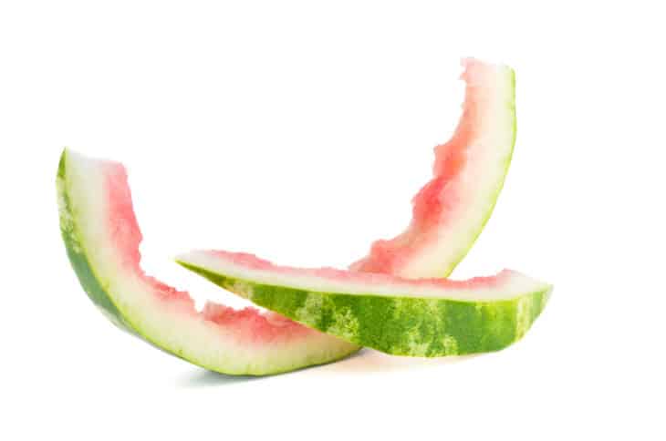 31366872 watermelon rind
